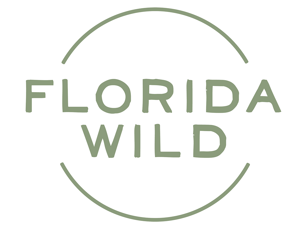 FLORIDA WILD